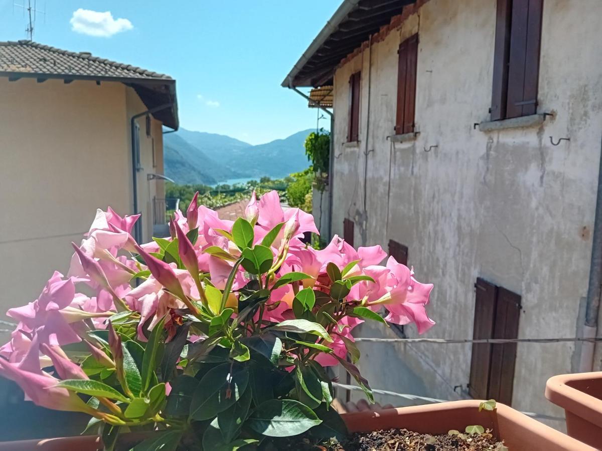 Villa Casa Di Ariel Carlazzo Exterior foto